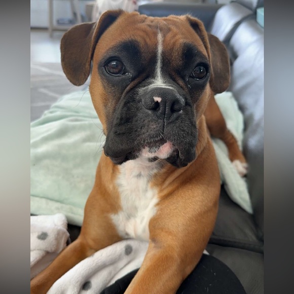 Meet your Posher, Christina - Picture 5 of 6